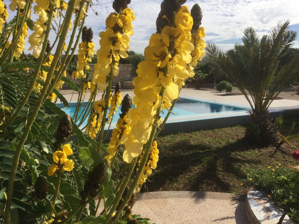 Dar Albatros Guest House Sidi Kaouki Exterior photo