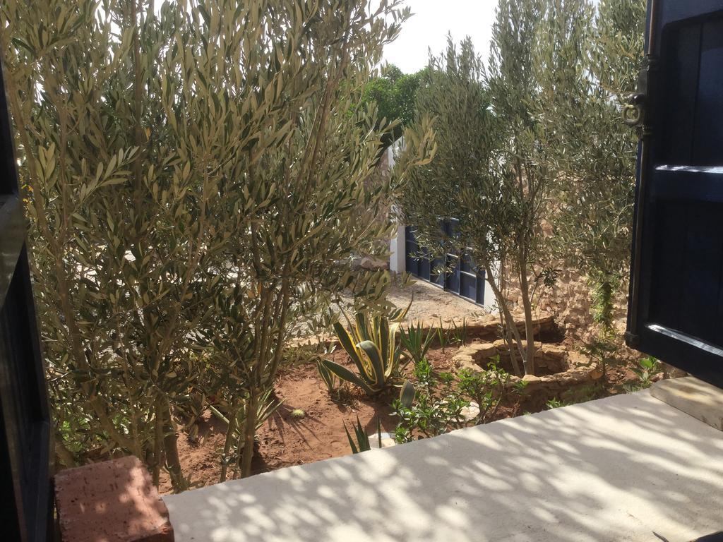 Dar Albatros Guest House Sidi Kaouki Exterior photo